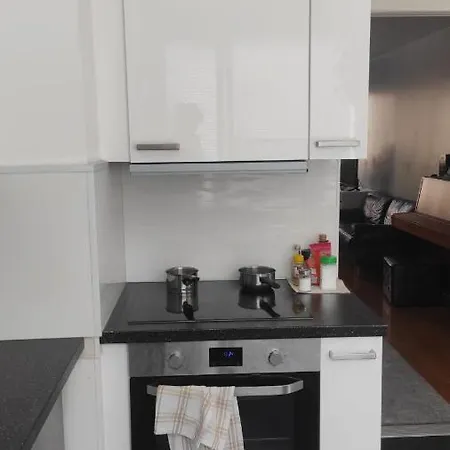 Проживание в семье Park Турку